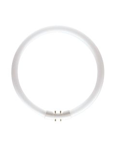 Traditionele ronde TL5 TL-buis 2GX13 55W/840 | 30.5cm