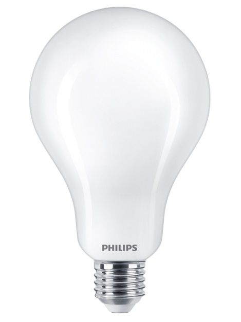 Bemiddelaar Literatuur Raad Philips LED lamp A95 E27 23W 2700K Niet dimbaar | SameLight.nl