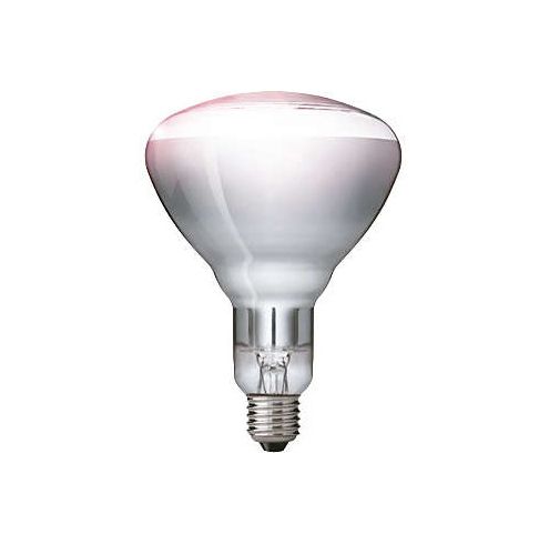 bezoeker Glad eigendom Philips Infraroodlamp E27 150W Helder | SameLight.nl