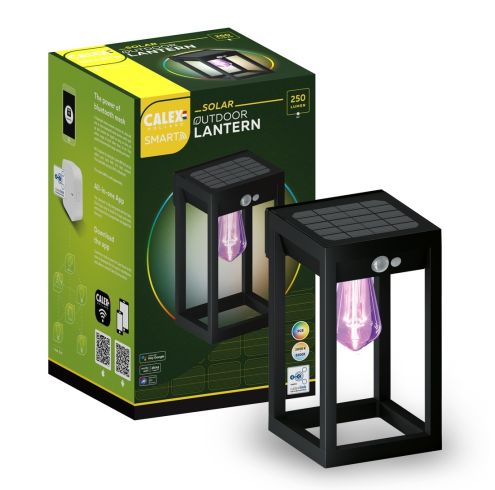 Calex Smart Outdoor LED Buitenlamp - Slimme Up & Down Wandlamp - RGB en Warm Wit Licht - 4W - Zwart
