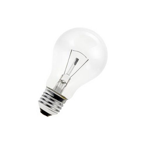 Gloeilamp Laagvolt E27 42V 100W SameLight.nl