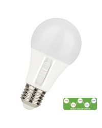 Bailey LED lamp E27 8.5W 806lm Instelbare lichtkleur Mat 