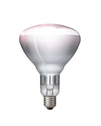 Philips Infraroodlamp E27 250W Helder warmtelamp