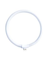 T4 ringvormige fluorescentielamp 22W 1200lm daglicht 6500K G10q 160mm