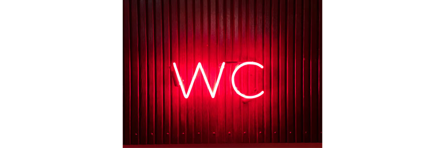 wc verlichting neon